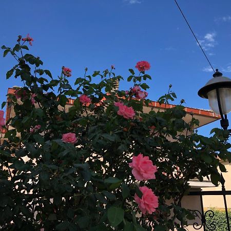 Hotel Zodiaco Μπολσένα Εξωτερικό φωτογραφία